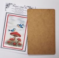 Bird's Eye View Bundle